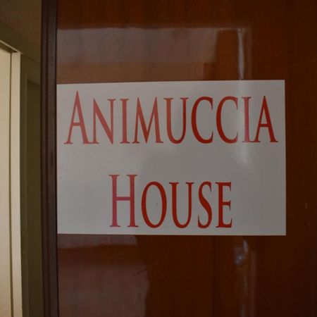 Casa Vacanze "Animuccia House" Roma Exterior photo