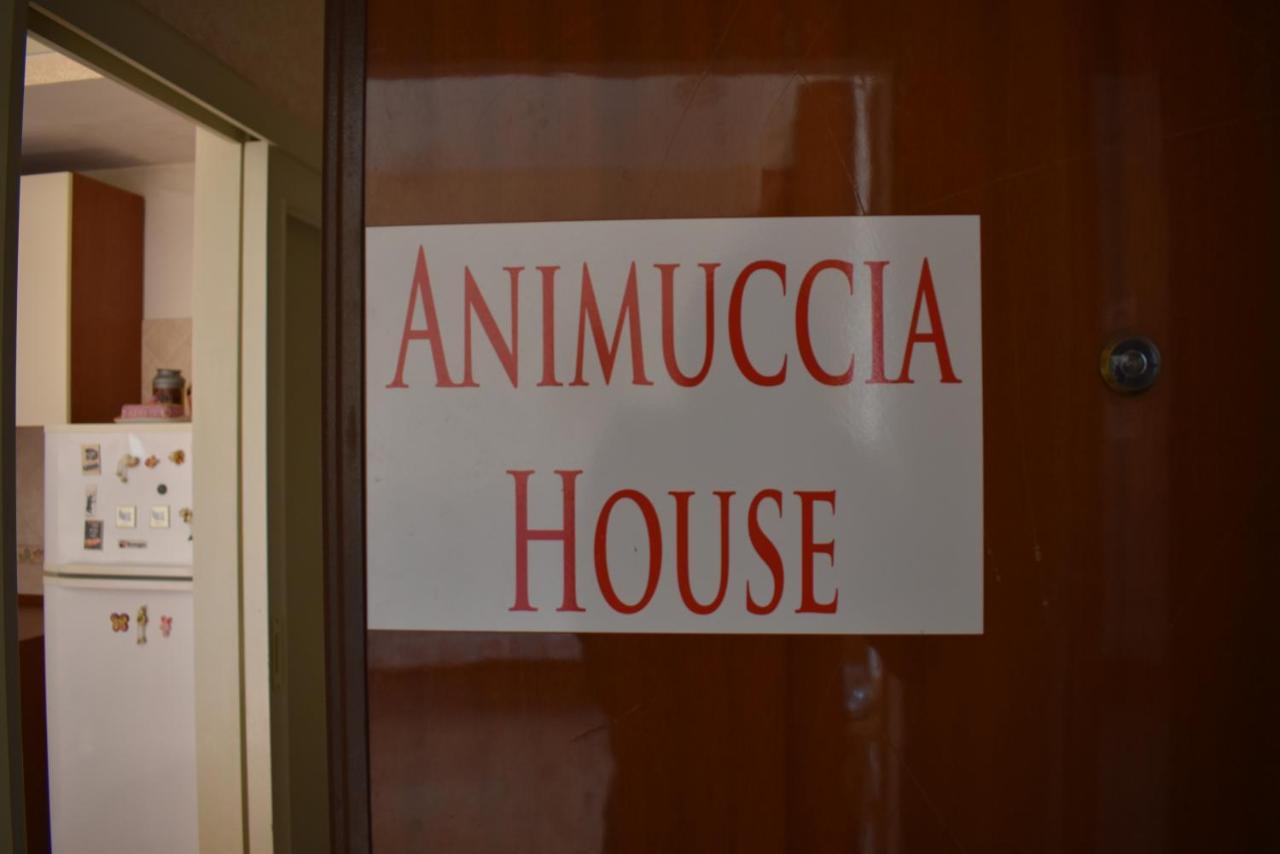 Casa Vacanze "Animuccia House" Roma Exterior photo